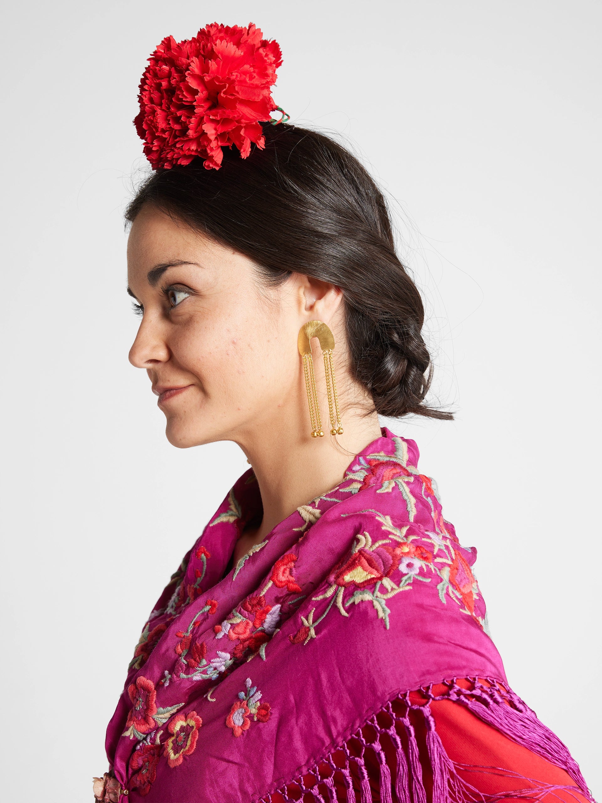 Flores Flor clavel rojo